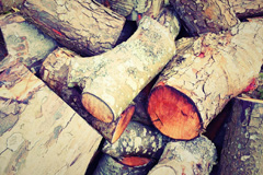 Memsie wood burning boiler costs